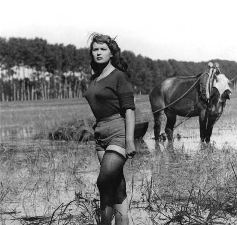 Silvana Mangano nei panni di una mondina in 'Riso Amaro', un film di Giuseppe De Santis del 1949