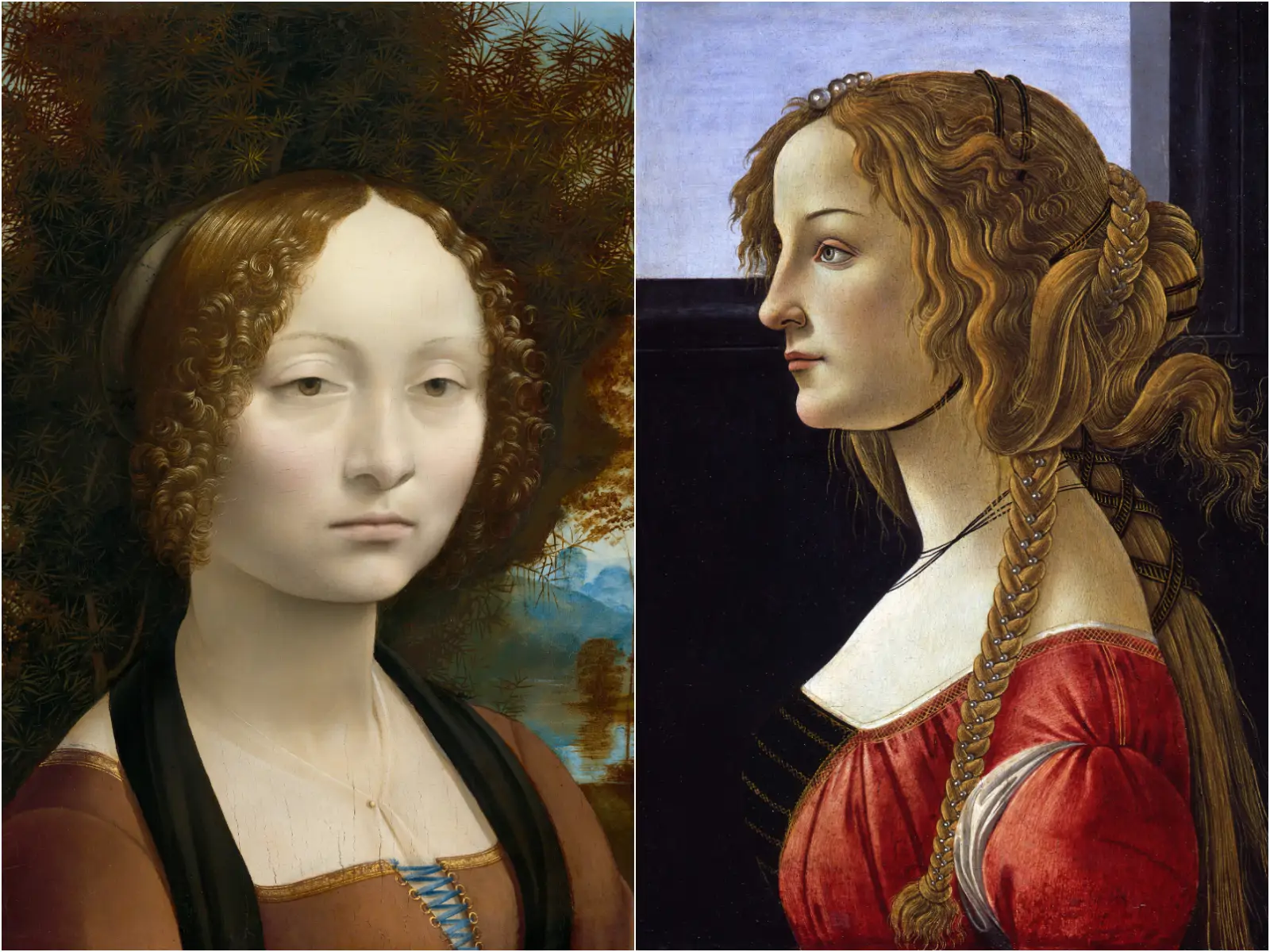 Le quattro donne di Leonardo da Vinci: amore, bellezza e potere nell ...