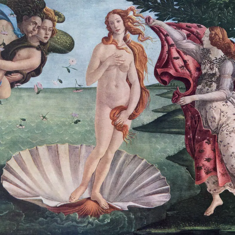 La protagonista di «La nascita di Venere» è realmente esistita? La vera storia di Simonetta Vespucci