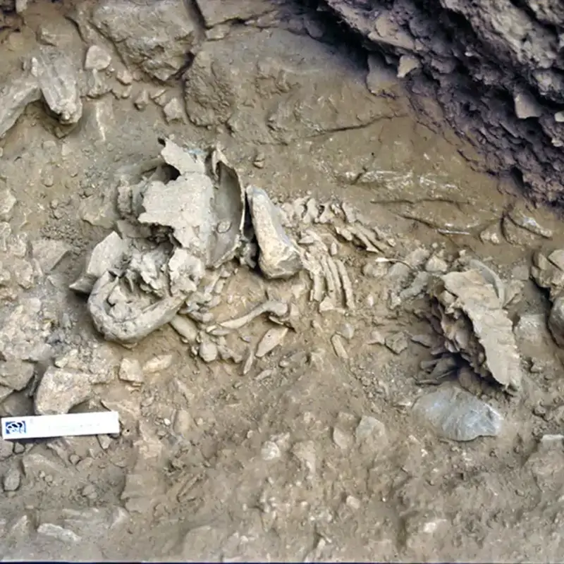 tombe a terra in pietra
